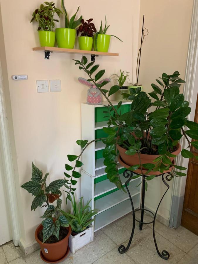 Mini Penthouse Larnaca Ngoại thất bức ảnh